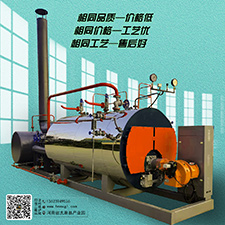 撬装模块燃油气蒸汽锅炉